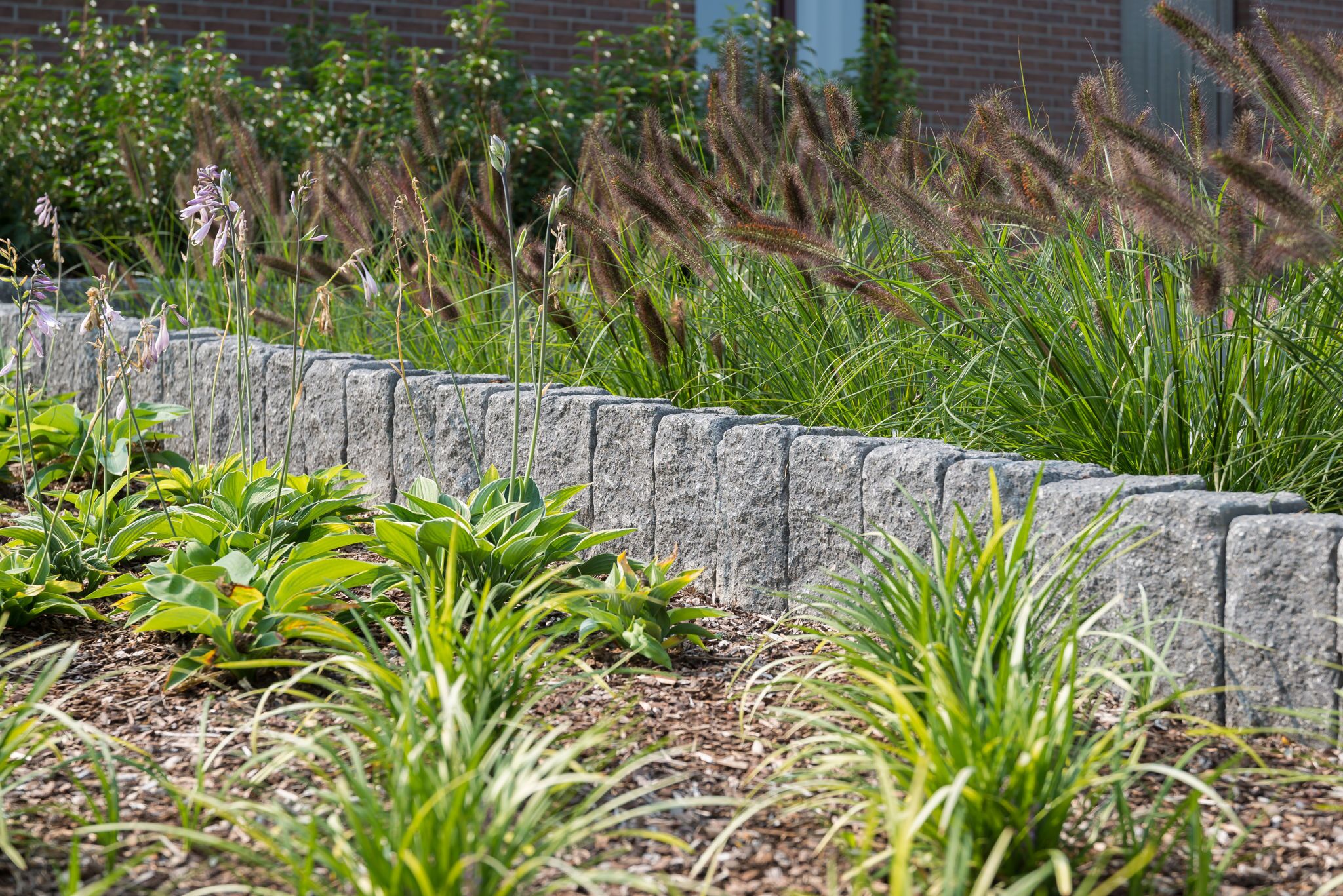 Palissades Cliffstone 15x15