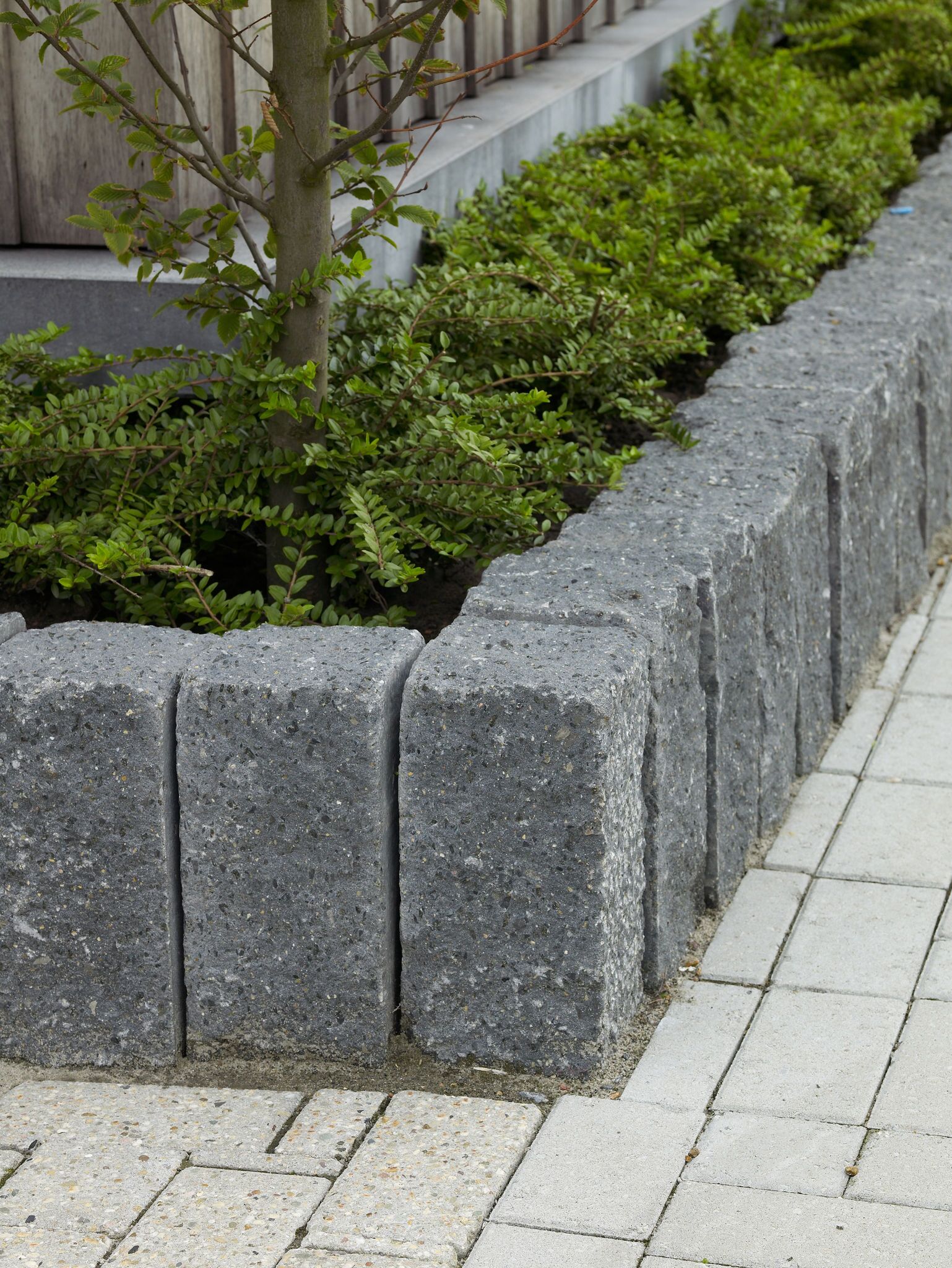 Palissades Cliffstone 15x15