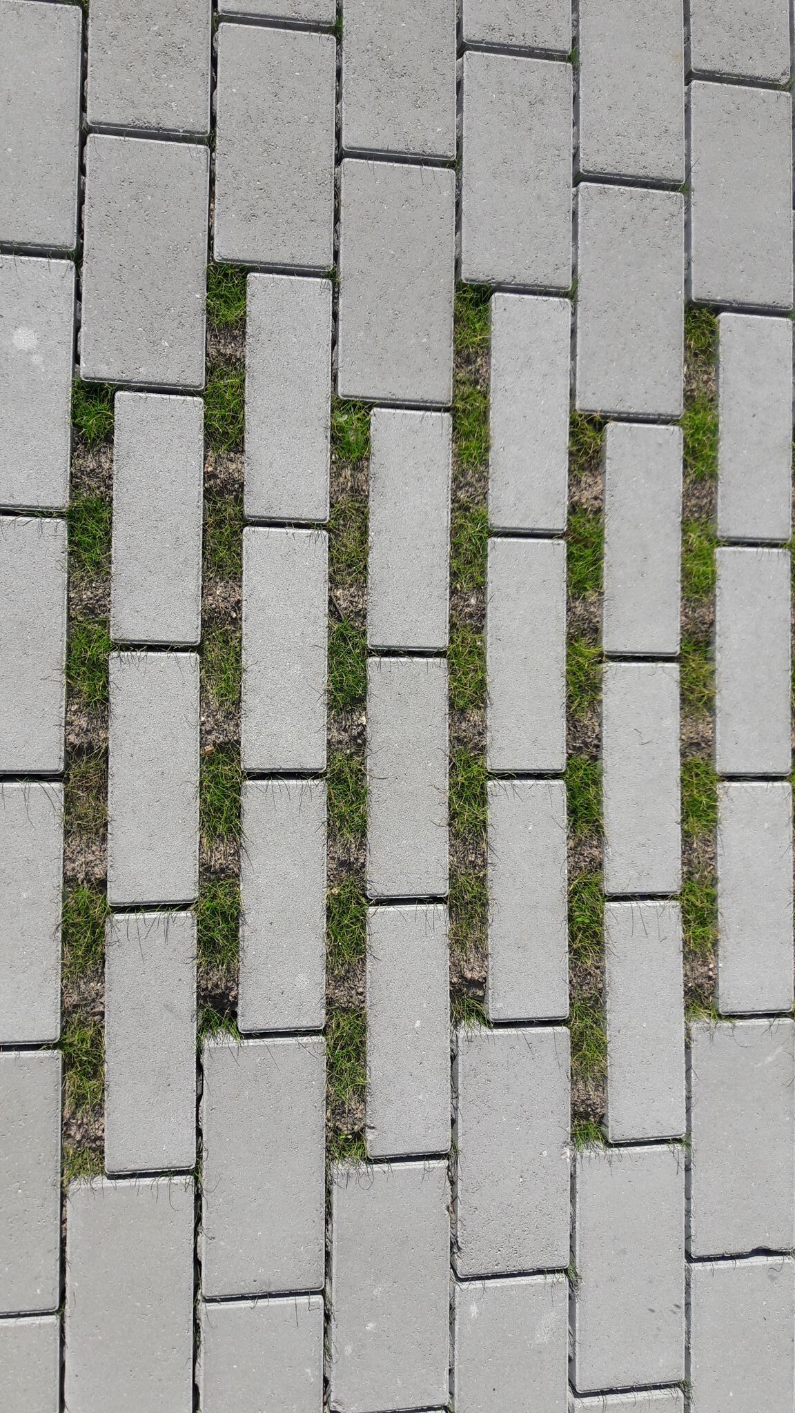 Dalle Greenstone 4.0 Classic 25x12,5cm