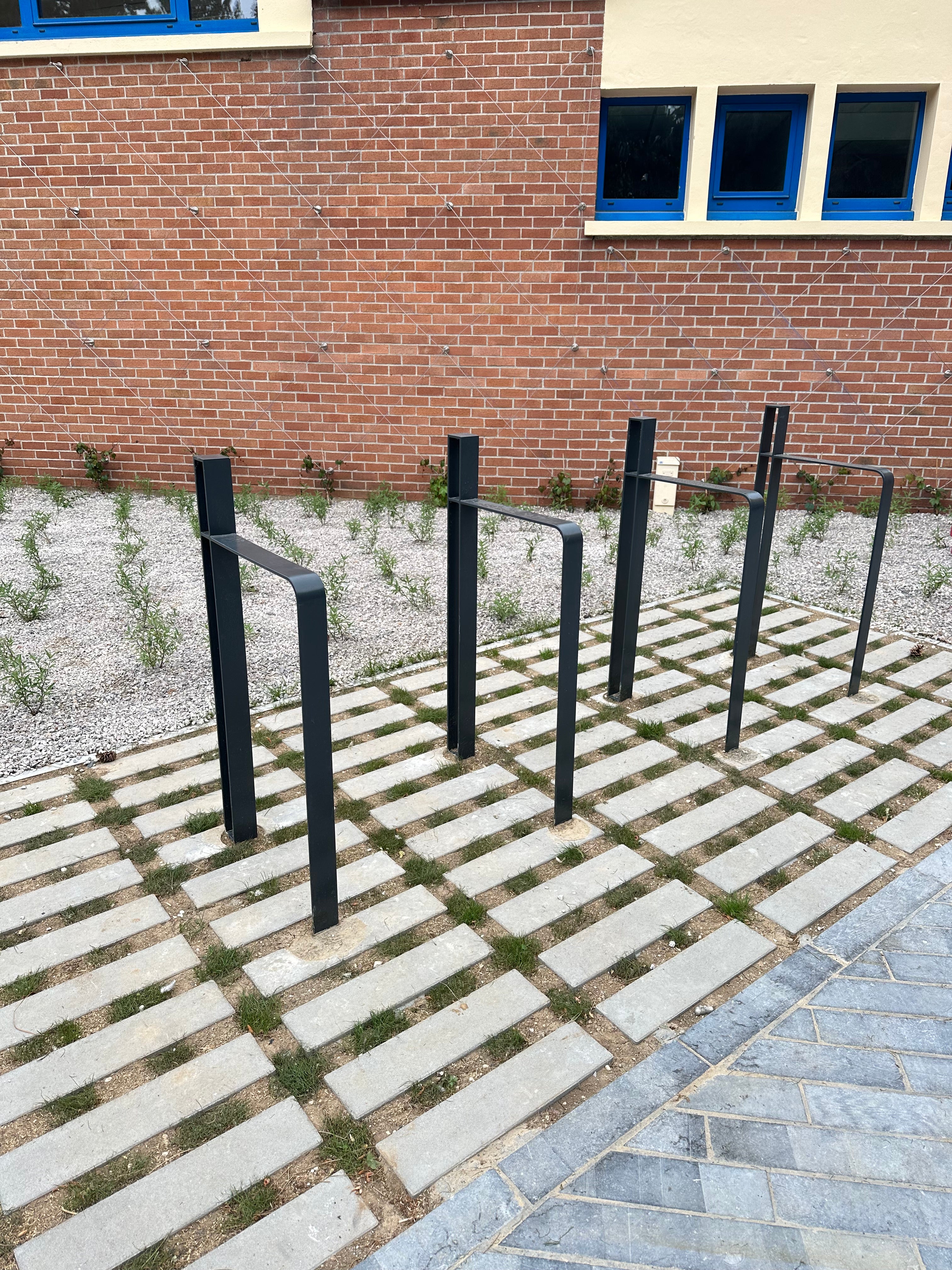 Dalle Grasslines Big Classic